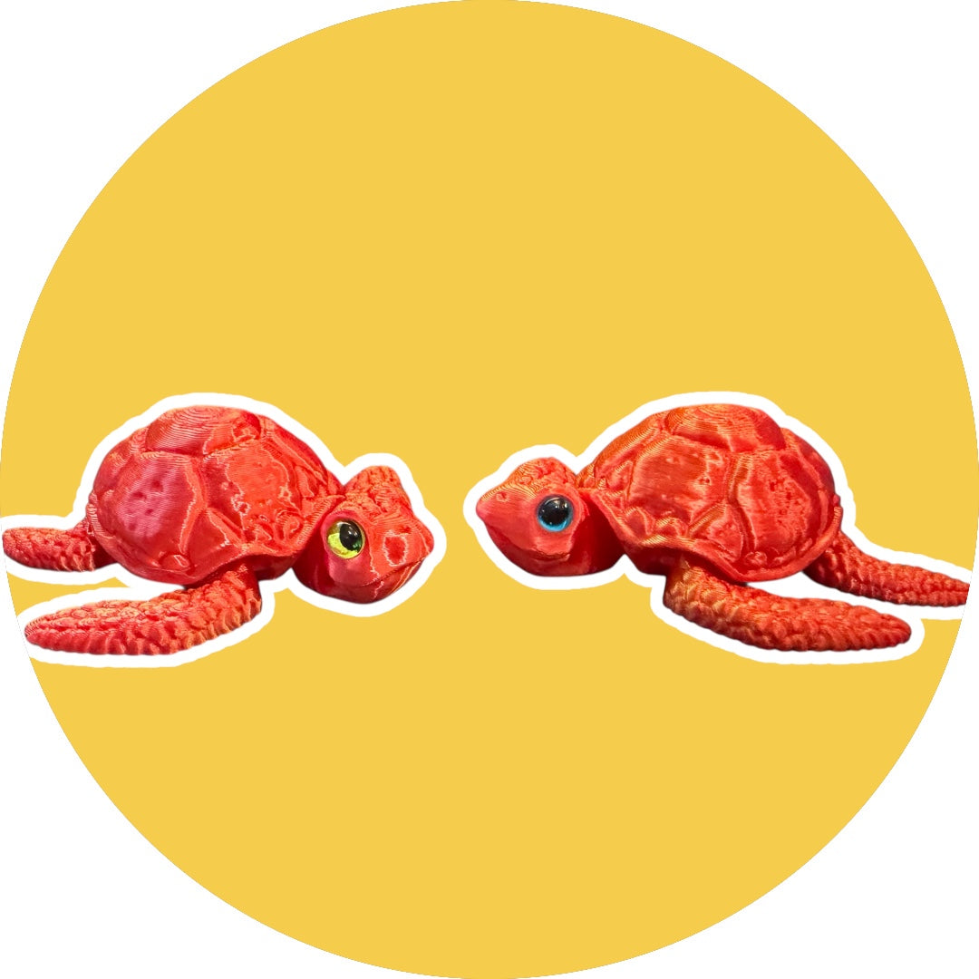 3D Printed Turtle