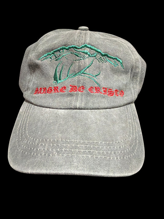 "NM Sangre De Cristo" Mountains Jean colored Dad Hat